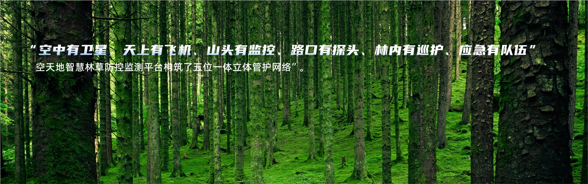 數(shù)字林業(yè)