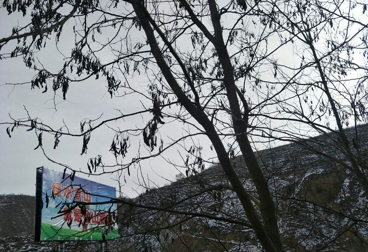 彭陽(yáng)縣林業(yè)局 (2).png 彭陽(yáng)縣林業(yè)局 (2).png