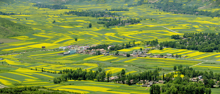 甘肅臨夏州林草局建成“空天地智慧林草防控監(jiān)測平臺”大數(shù)據(jù)系統(tǒng)2.png 甘肅臨夏州林草局建成“空天地智慧林草防控監(jiān)測平臺”大數(shù)據(jù)系統(tǒng)2.png