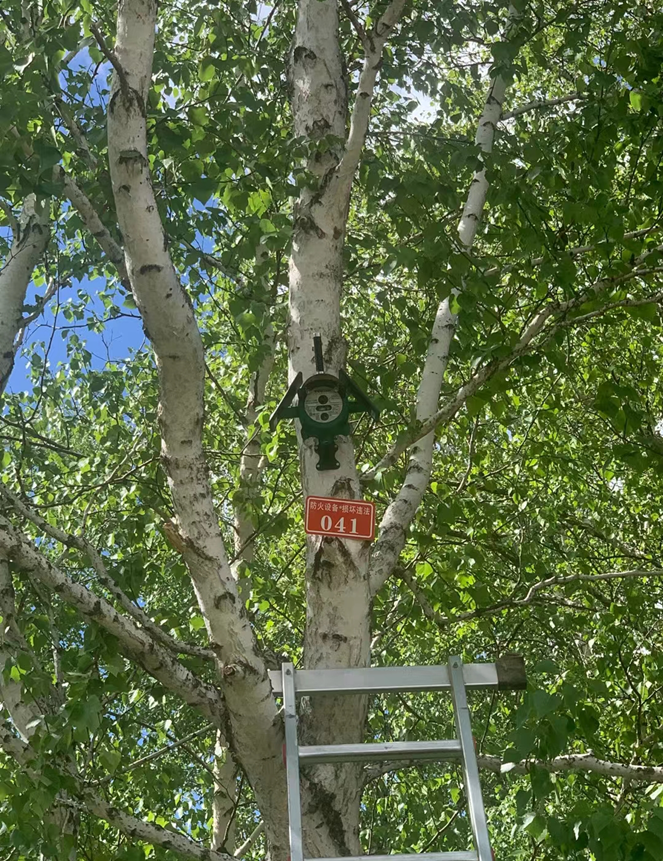 河北塞罕壩機械林場.png 河北塞罕壩機械林場.png