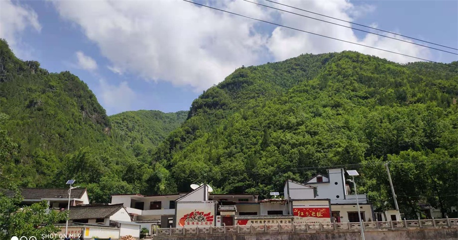 2391c2204a2e443c99051039ece1eacc.jpeg 2391c2204a2e443c99051039ece1eacc.jpeg